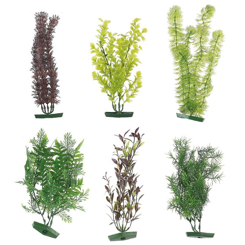 Aquarium plant - +/- 30 cm