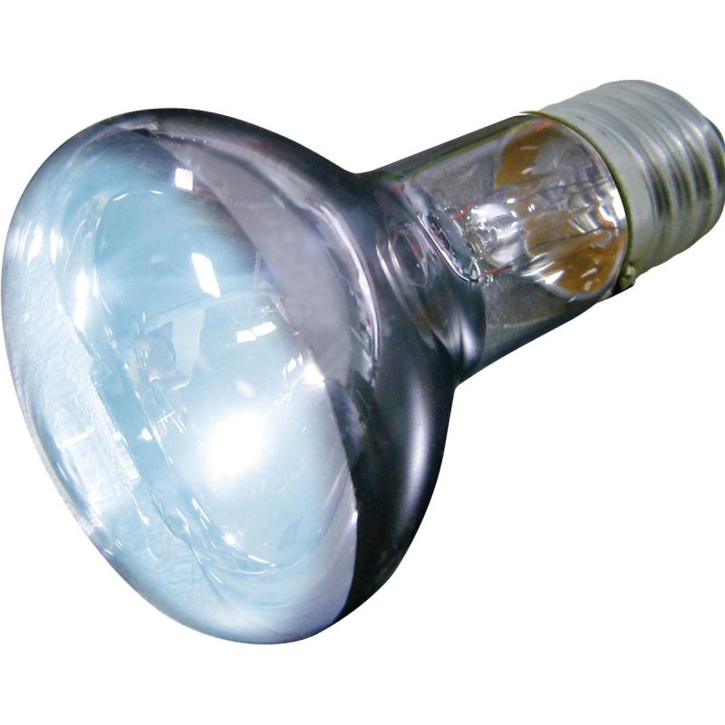 Daglichtlamp Terrarium Daylight Joule - 50 watt