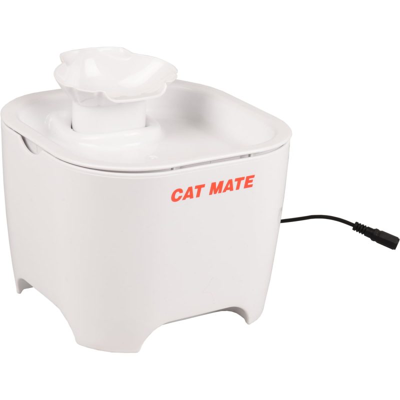 Drinkfontein Cat mate