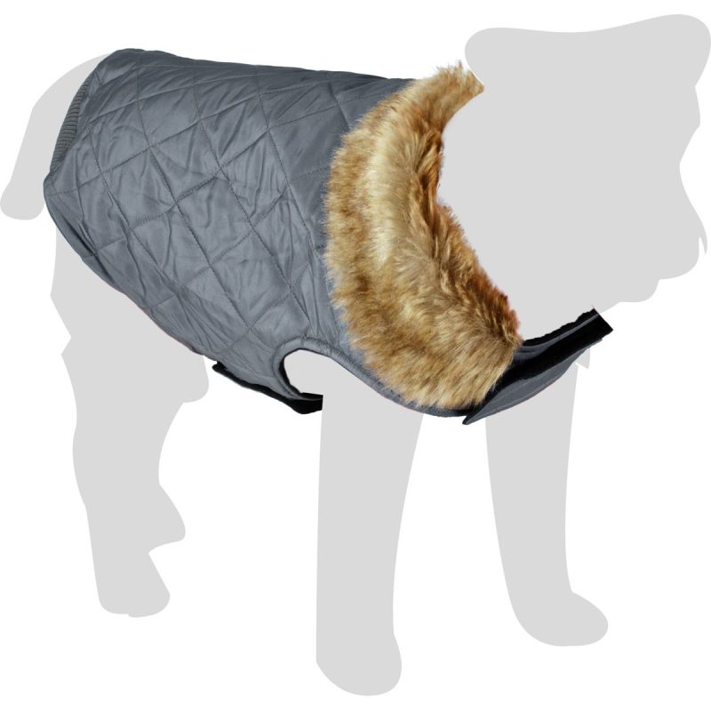 Honden Winterjas Elia Grijs