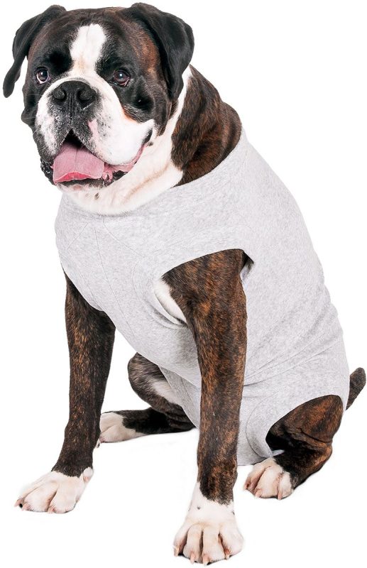 Safety Body Grijs 48 cm